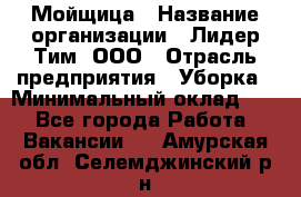 Мойщица › Название организации ­ Лидер Тим, ООО › Отрасль предприятия ­ Уборка › Минимальный оклад ­ 1 - Все города Работа » Вакансии   . Амурская обл.,Селемджинский р-н